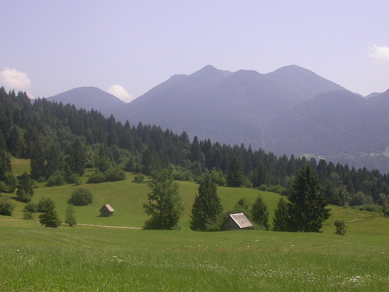 Bohinjska Bistrica 7 - The High Meadows.JPG